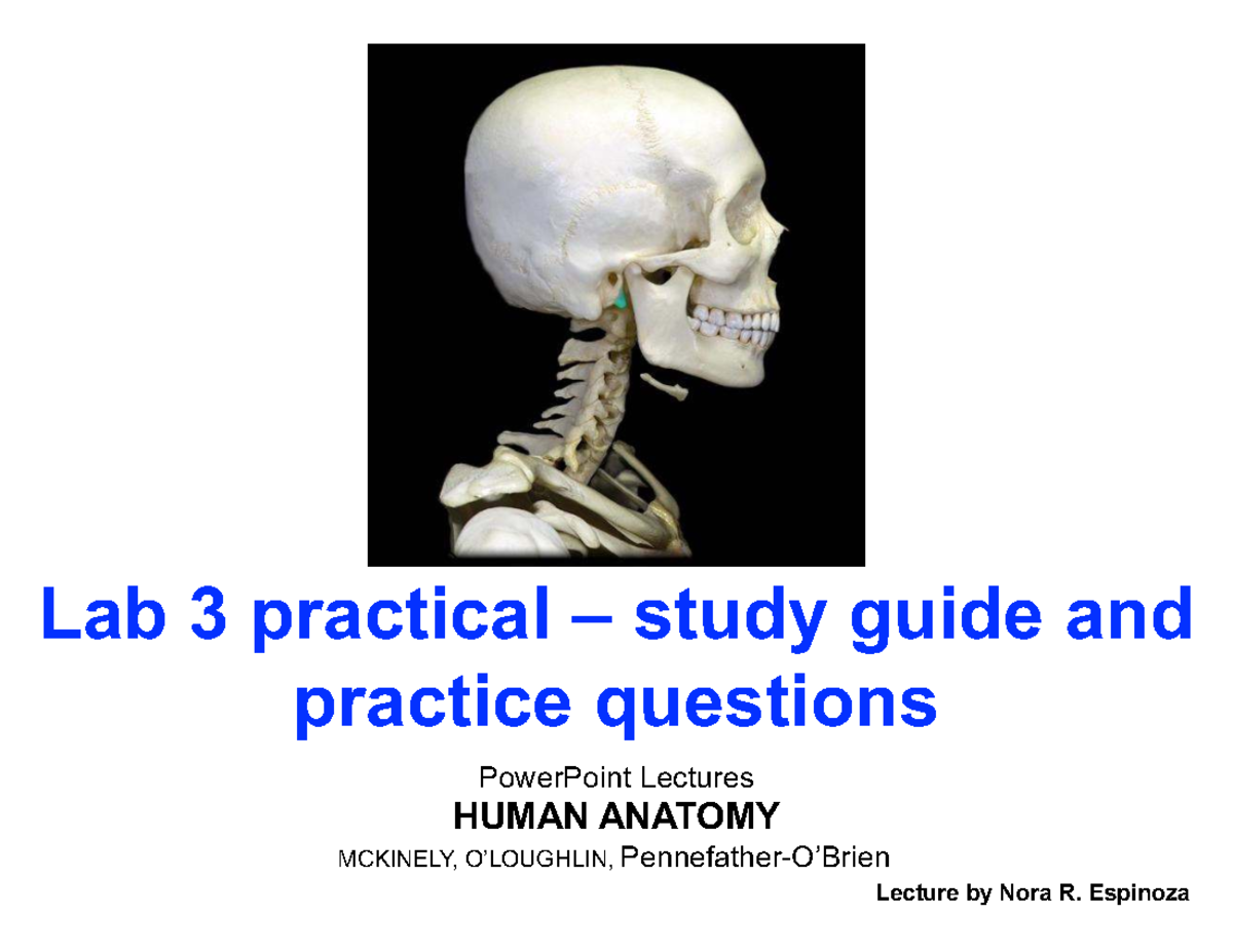 Teaching the Cardiovascular System, image size:1200x927