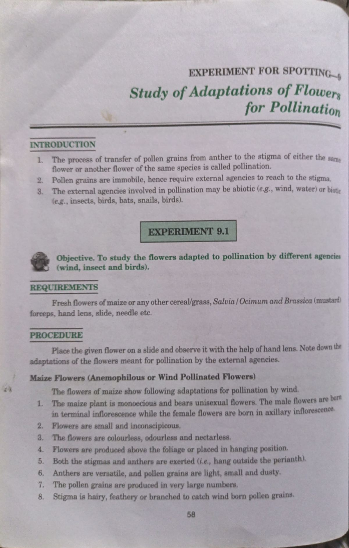 Adaptation of pollination - INTRODUCTION 1 The process of transfer of ...