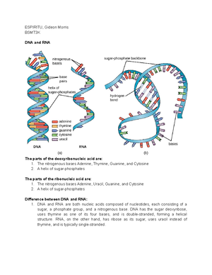 EDSA Reflection Paper - ESPIRITU, Gideon Morris BSMT3K EDSA People ...