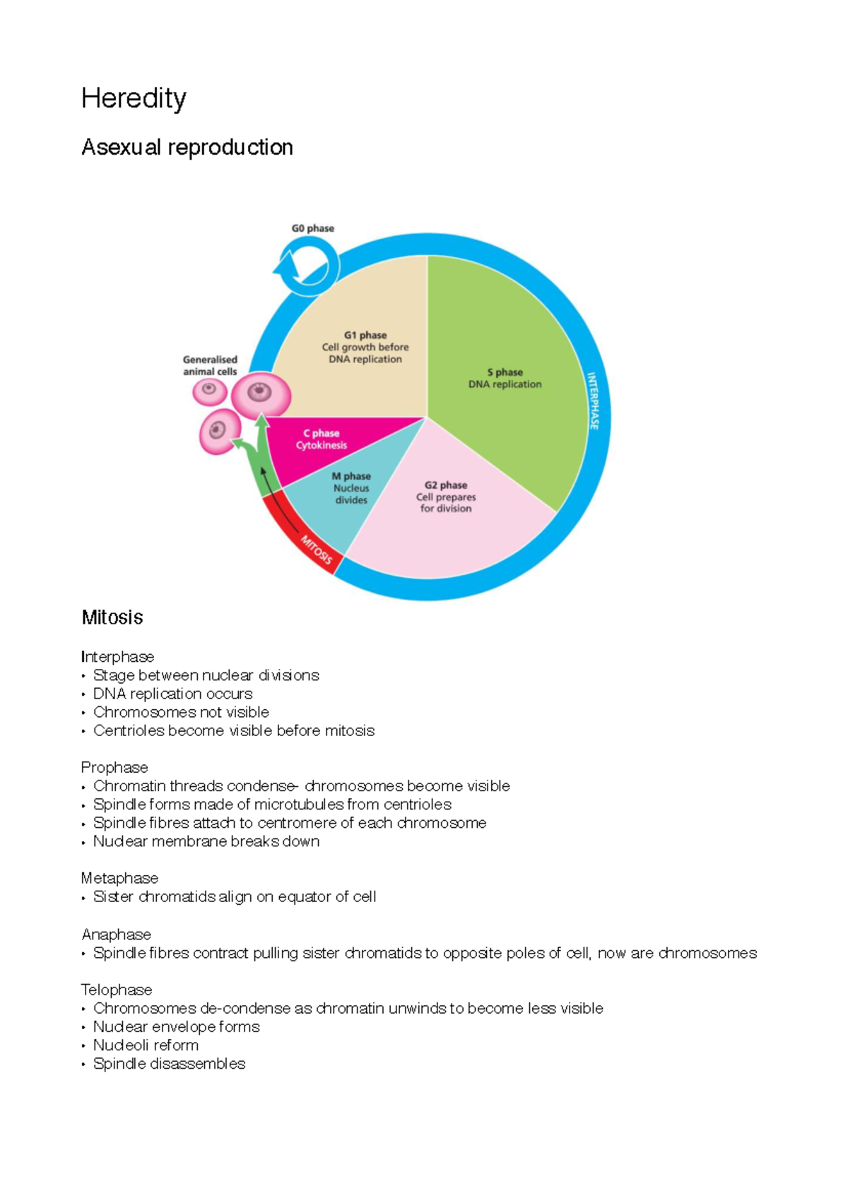 Biology 101: Comprehensive Notes on Heredity, Mitosis, and Evolution ...