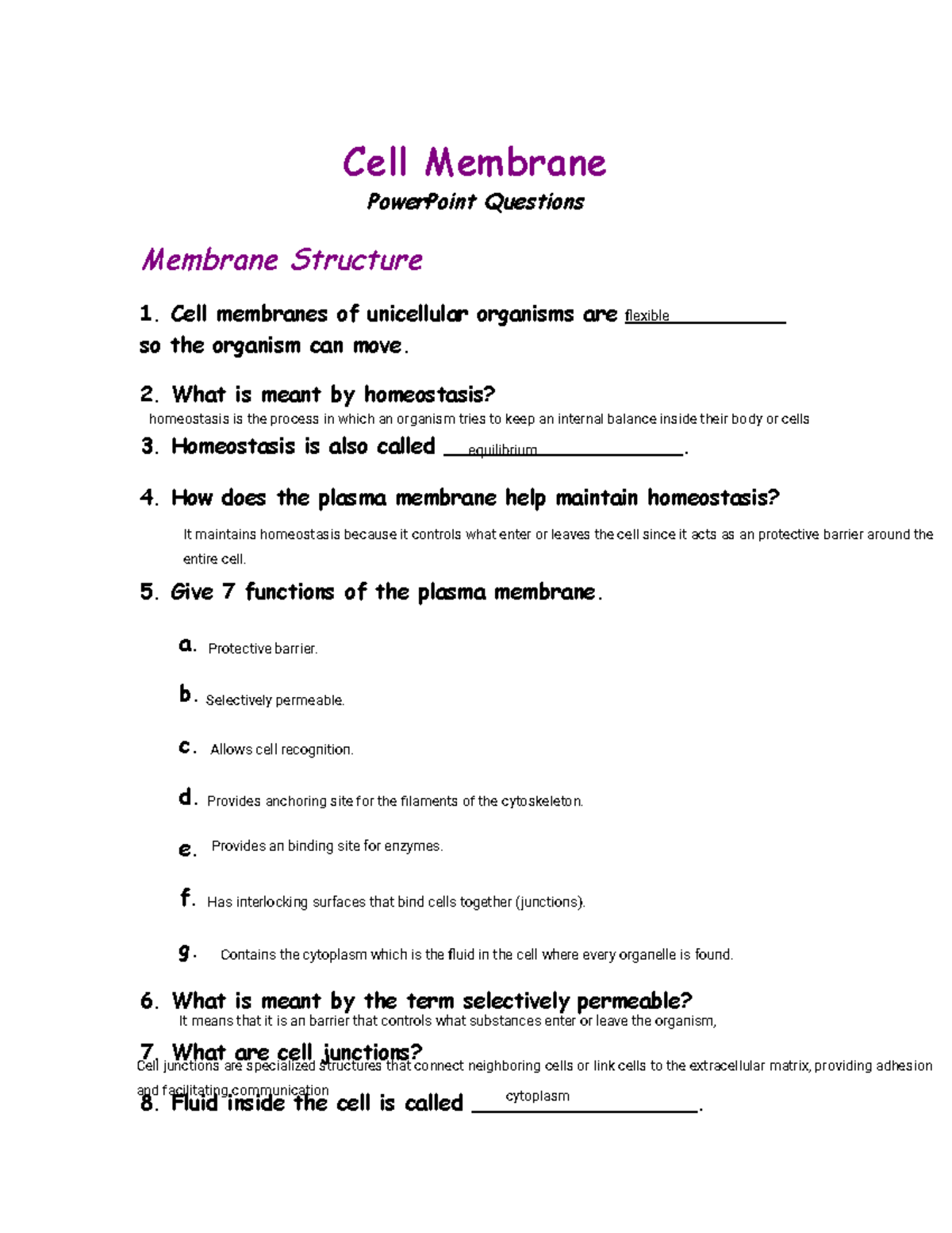 Cell Membrane Structure and Function Study Guide - Studocu