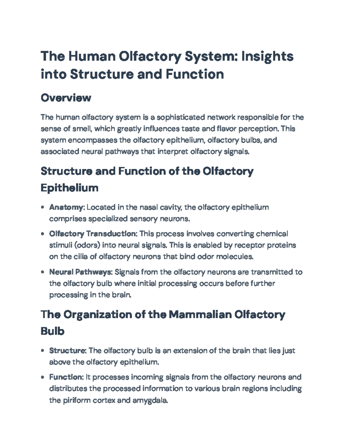 Olfactory System Insights: Structure & Function Overview for BIOL101 ...