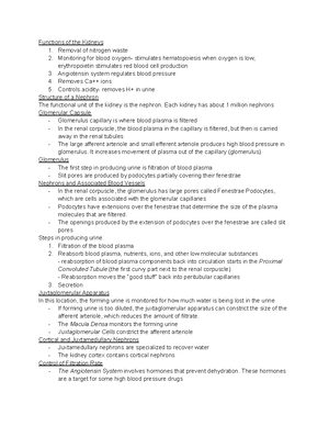 Understanding Blood Components and Their Functions for Biology 101 ...