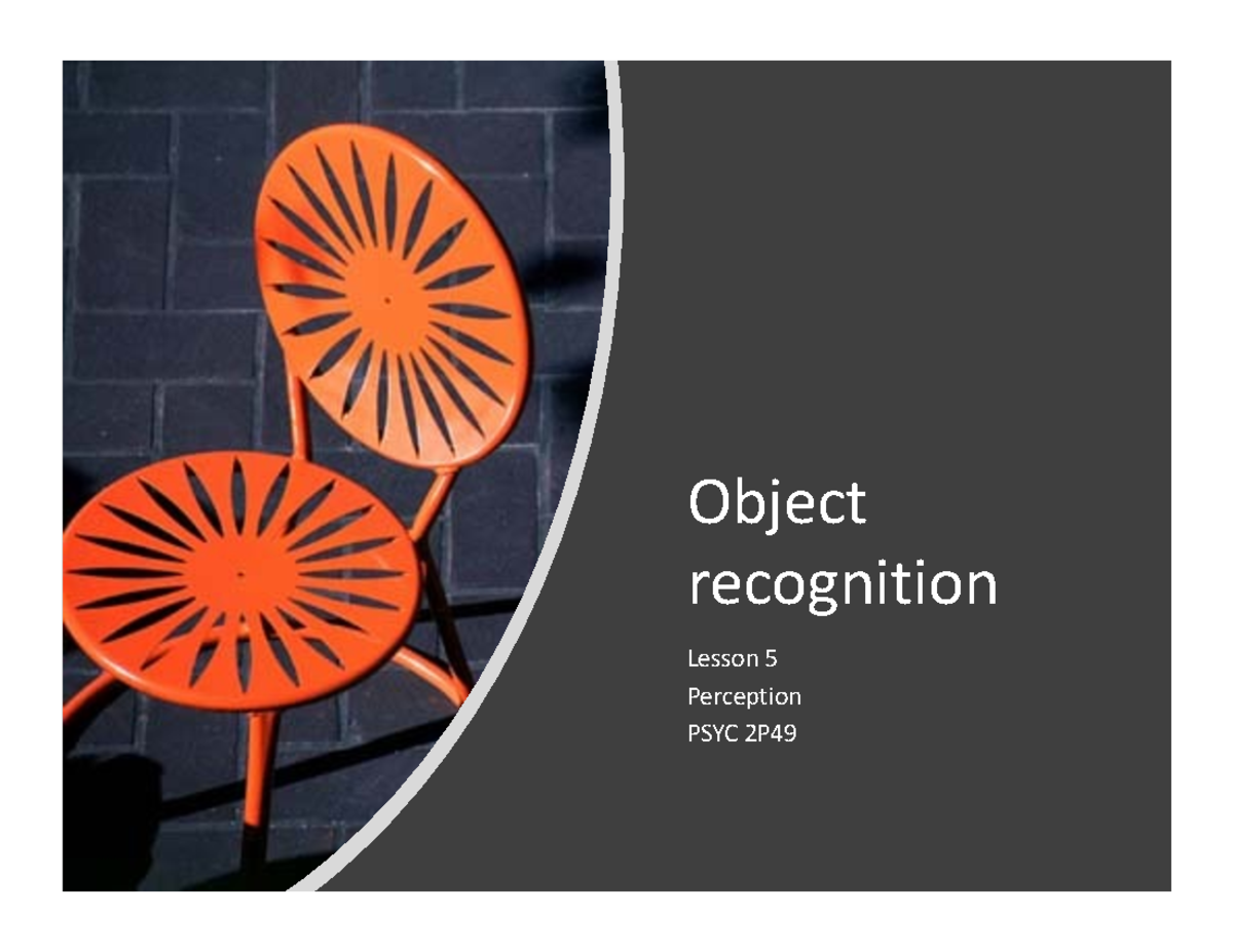 Object Recognition & Perception Strategies - PSYC 2P49 Lecture Notes ...
