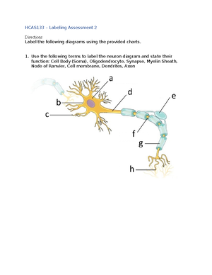 [Solved] Discuss how the heart and blood vessels work together in the ...