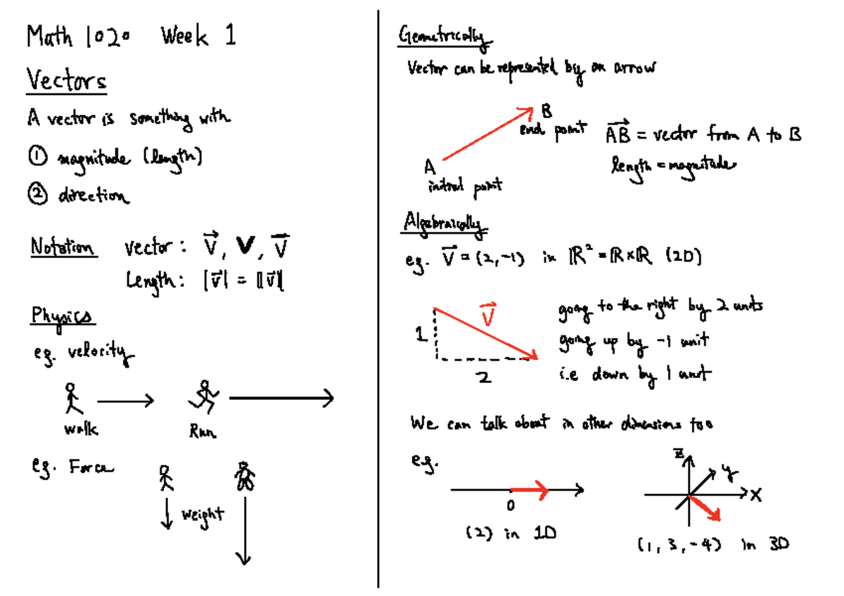 Math 1020D Week 1 Notes: Introduction to Vectors and Operations - Studocu