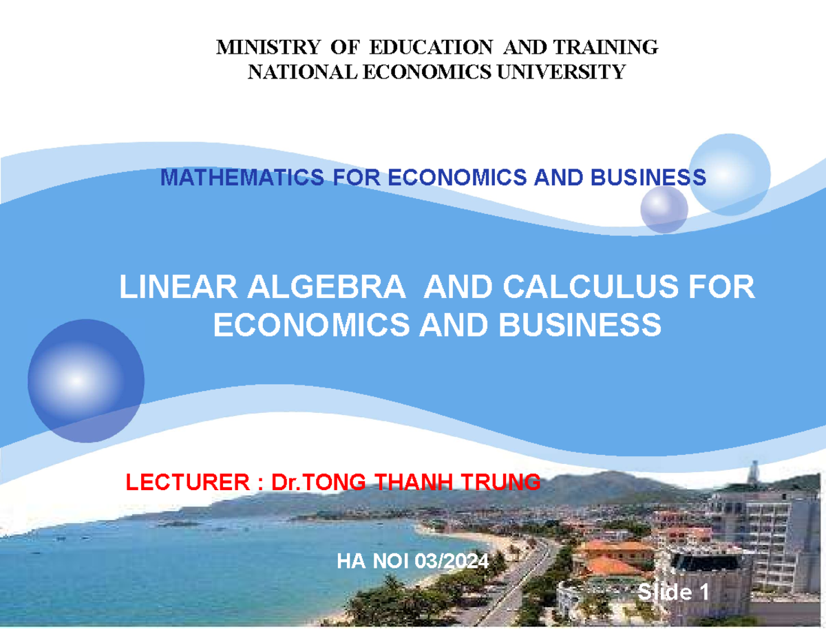 MATHEMATICS FOR ECONOMICS: LINEAR ALGEBRA LECTURE NOTES (v1.0014105206 ...