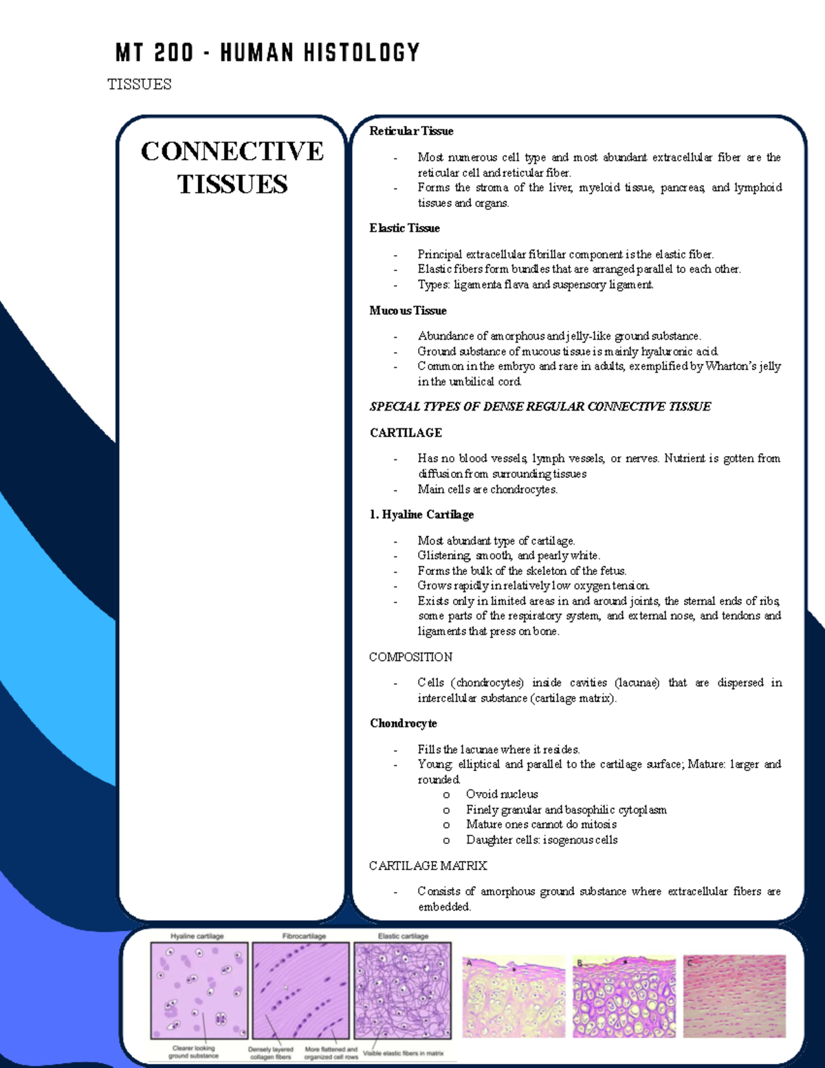 HIST 101: Cartilage & Bone Overview in Human Histology Summary - Studocu