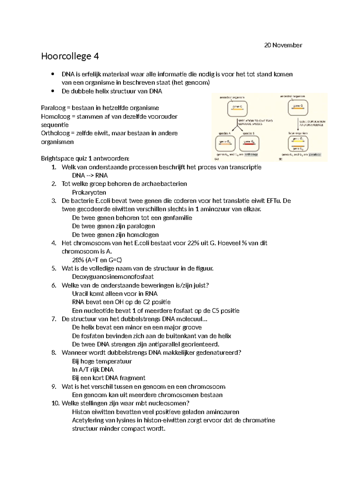 Hoorcollege 4: Transcriptie en DNA Structuur (Biologie 101) - Studeersnel
