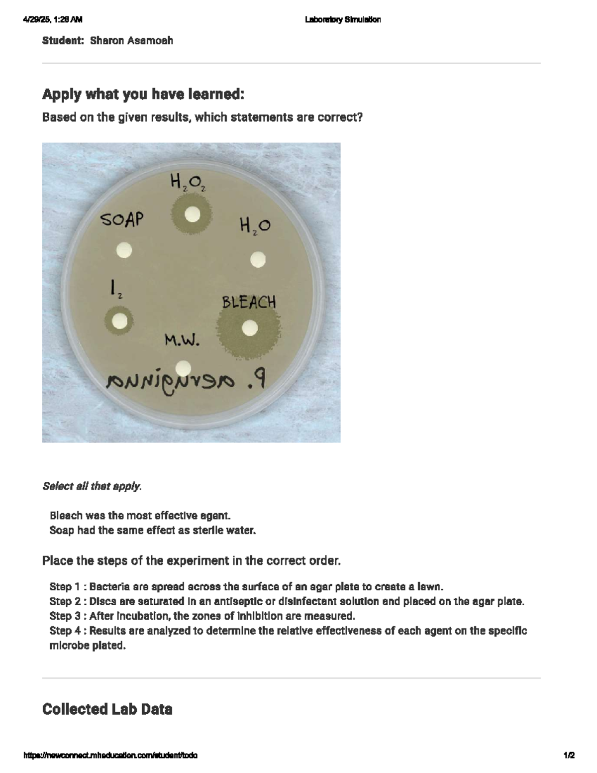 LAB 1:26 AM: Control of Microbial Growth - Antiseptics & Disinfectants ...