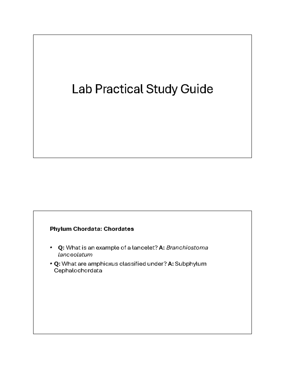 Lab Practical Study Guide: Chordata Phylum & External Features - Studocu