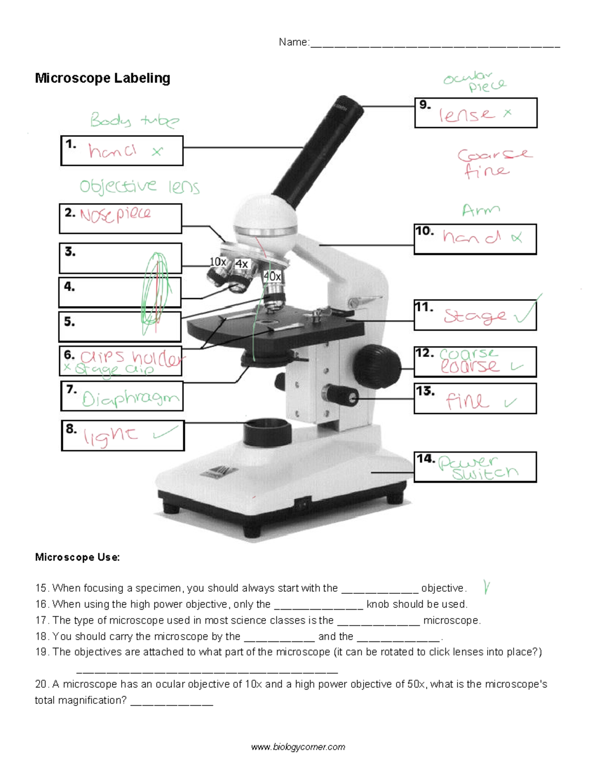 Microscope Labeling - Good - Name ...