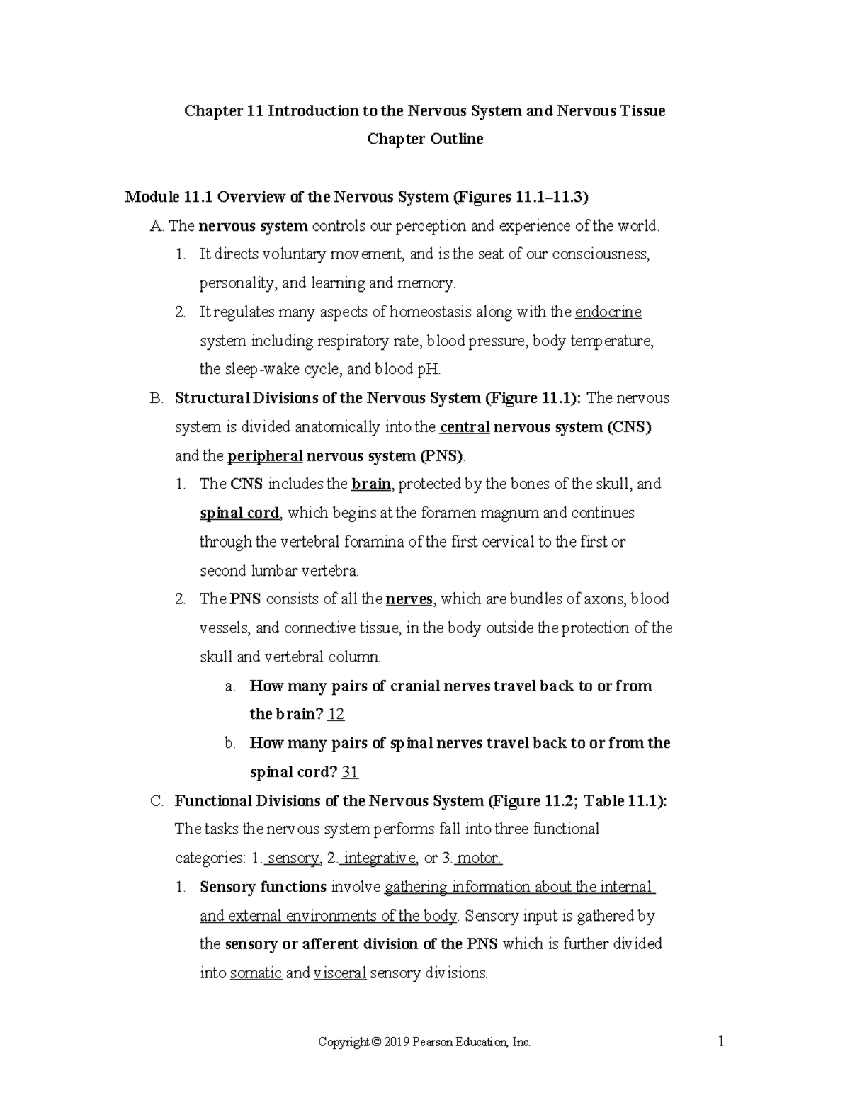 Chapter 11 Student Self-Study Outline: Nervous System & Tissue Overview ...