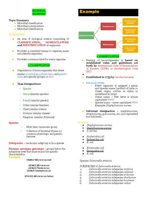 Clinical Bacteriology: Microbial Taxonomy Overview & Identification ...