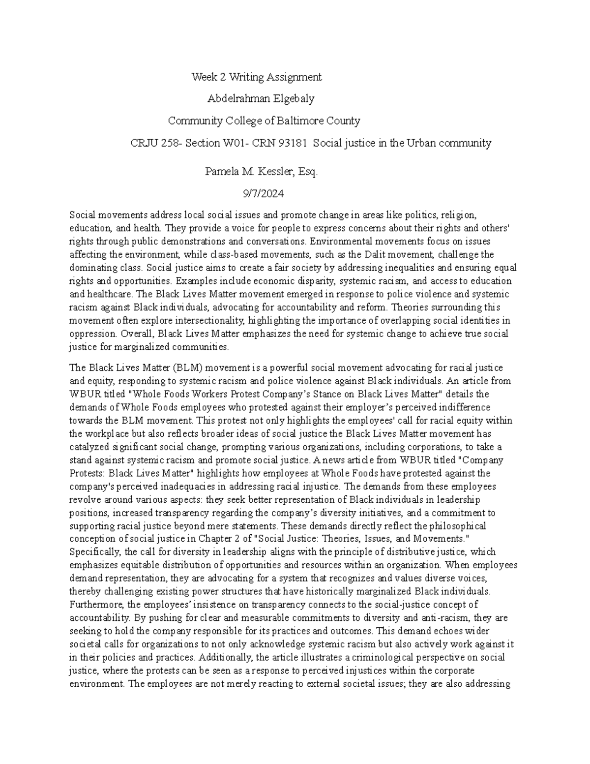 CRJU 258 - Week 2 Writing Assignment: Social Justice & BLM Movement ...