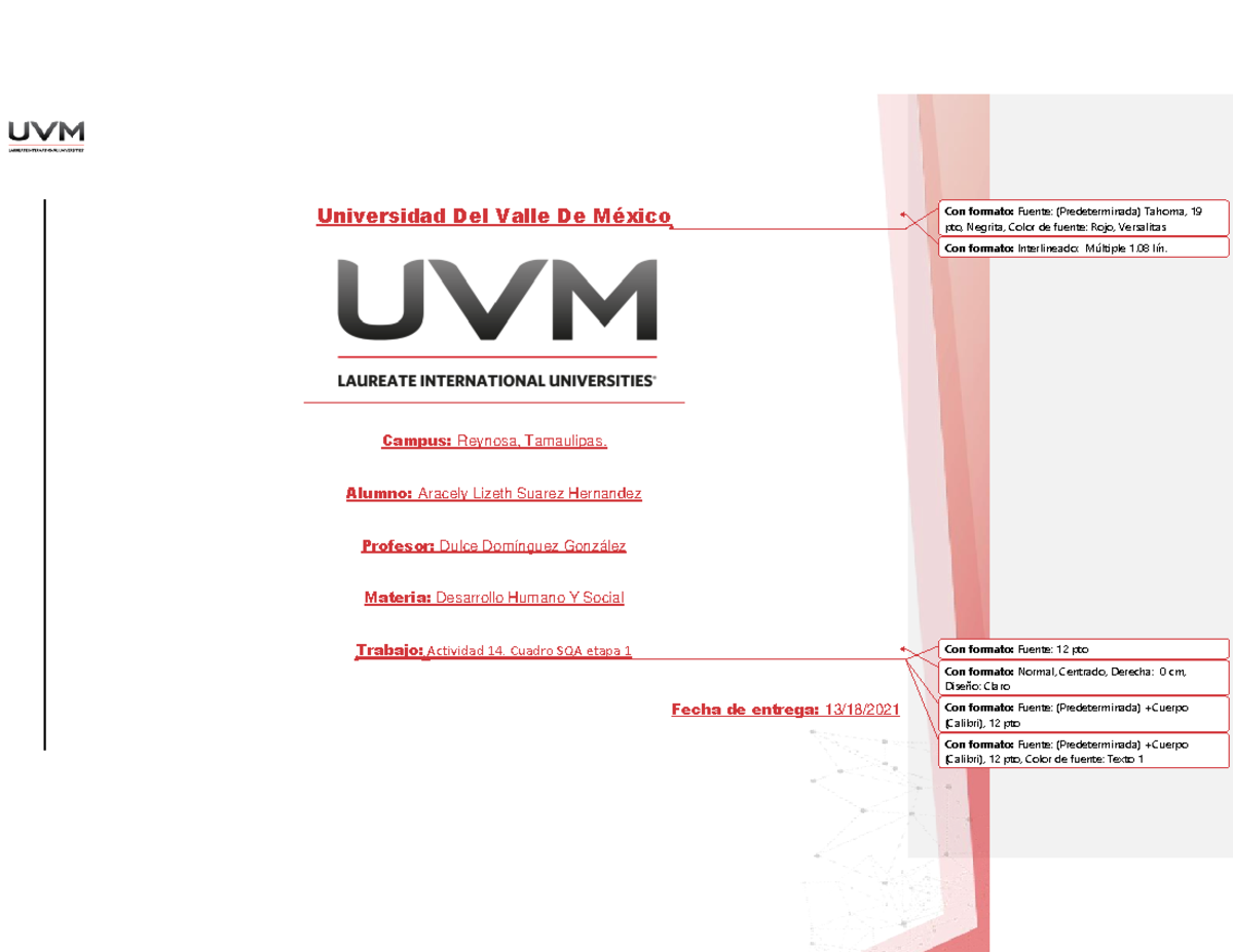 Actividad 14. Cuadro SQA etapa 1 - desarrollo humano y social - UVM ...
