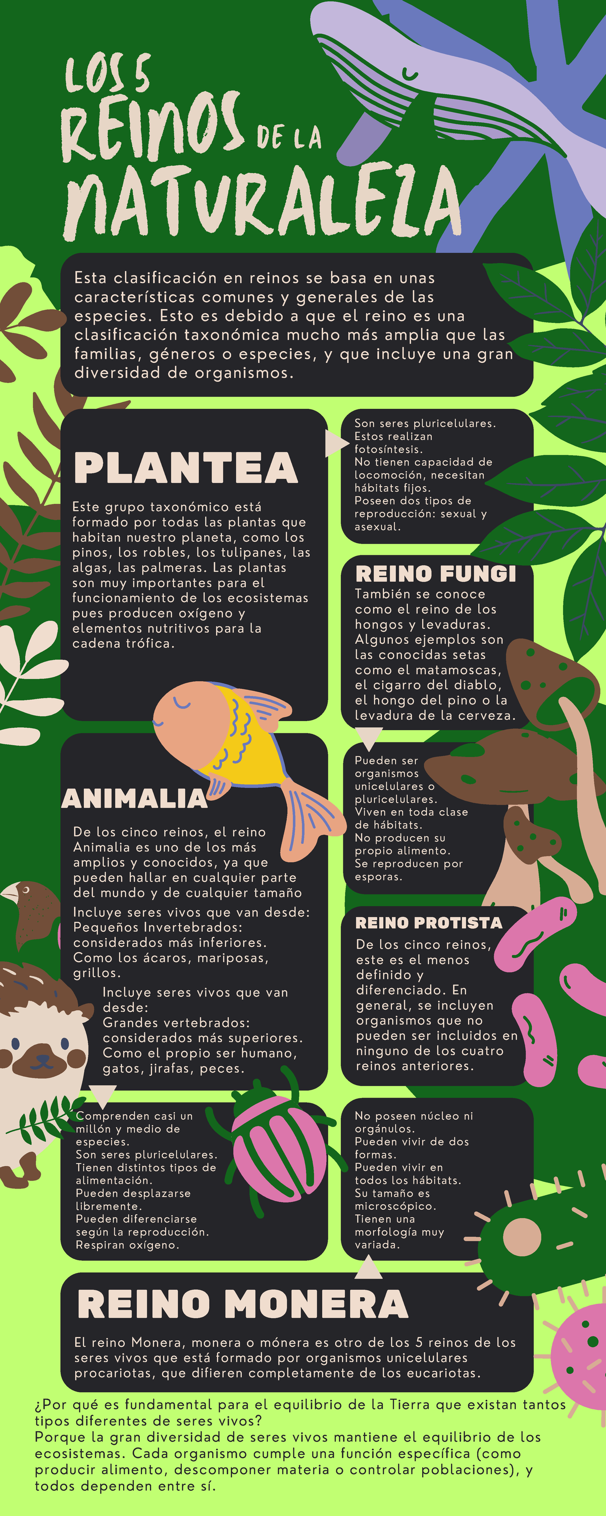 LOS 5 REINOS DE LA NATURALEZA - Biología - Studocu