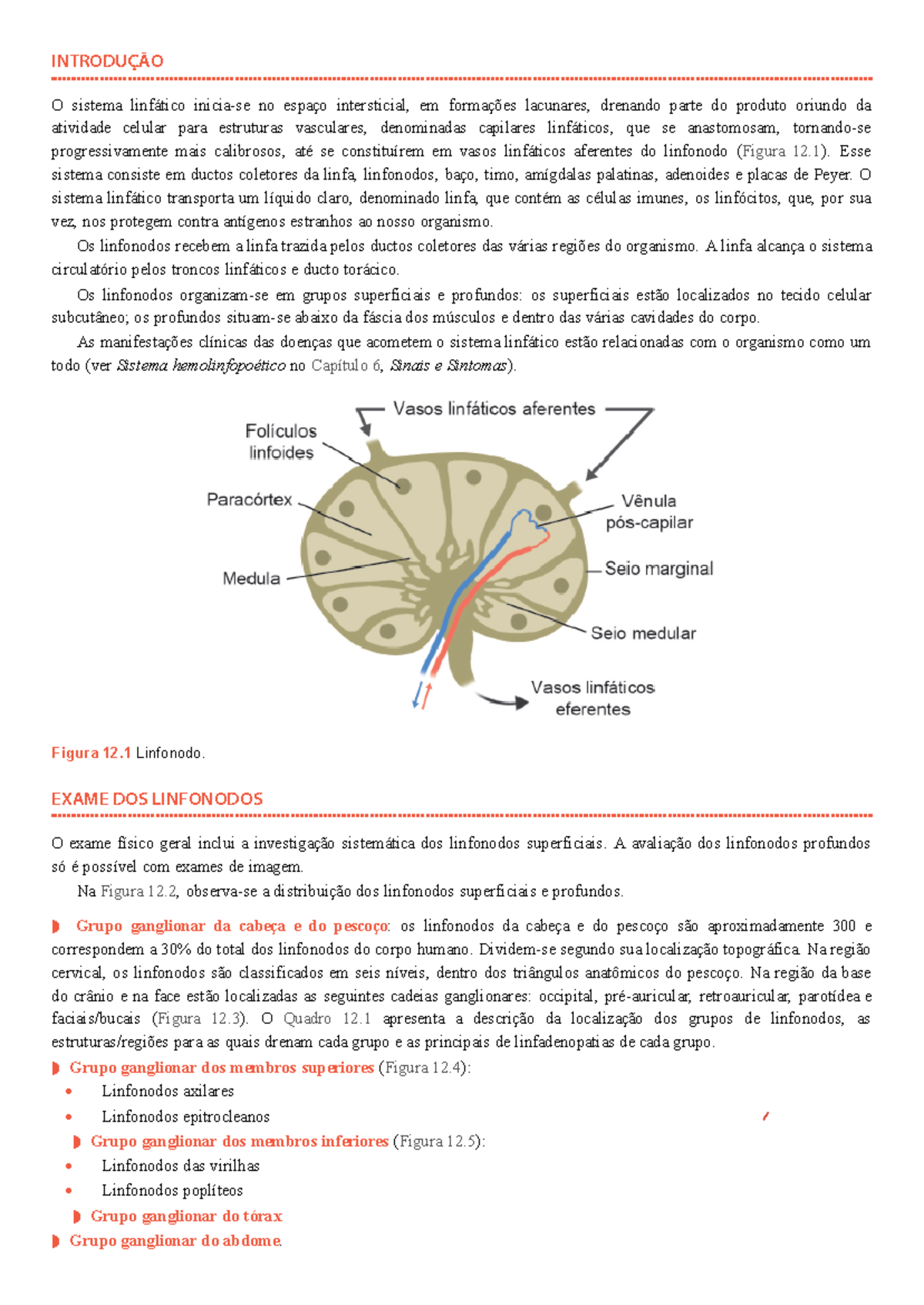 Histologia De Linfonodos Paracortex