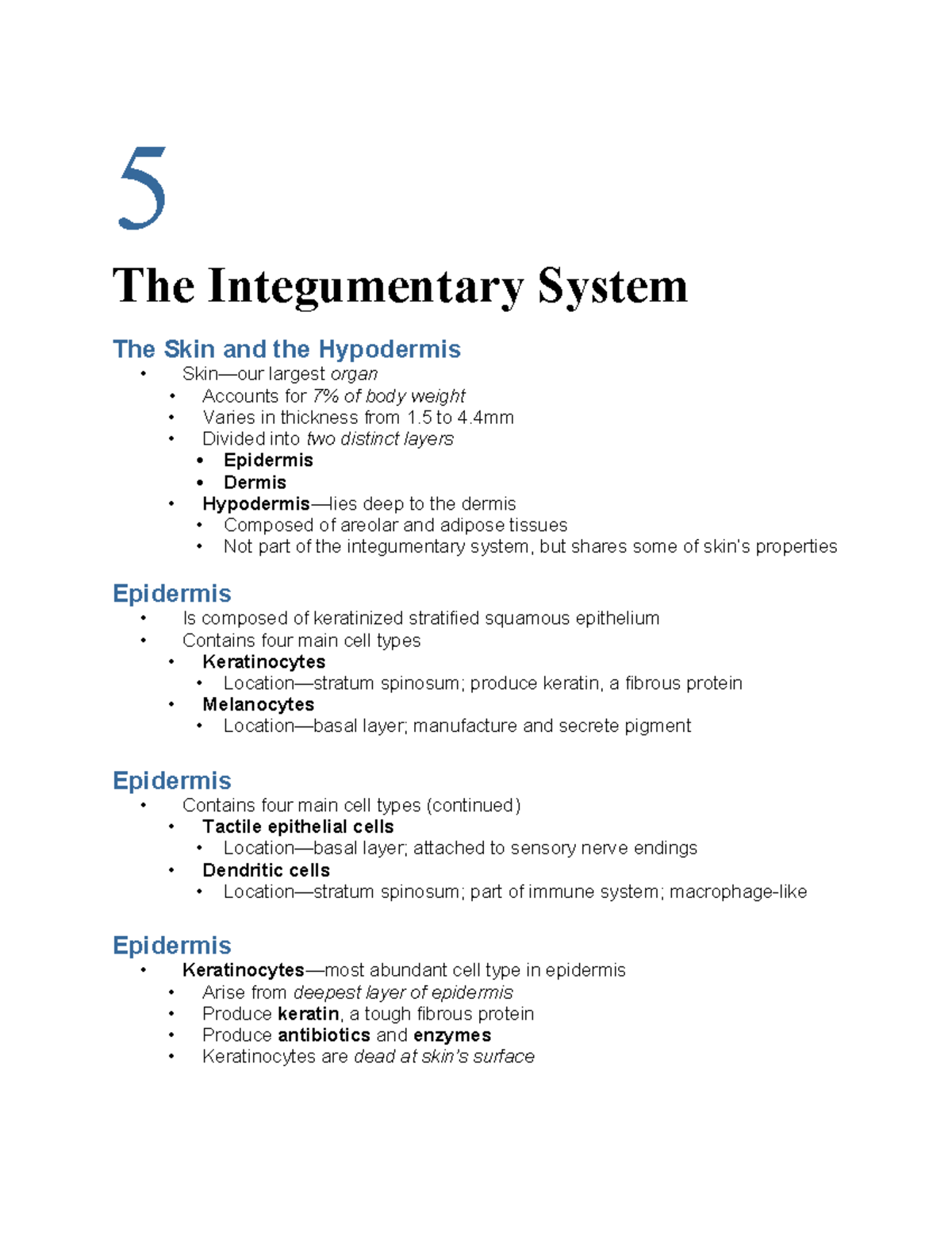 Ch 05: The Integumentary System - Skin Structure & Functions - Studocu