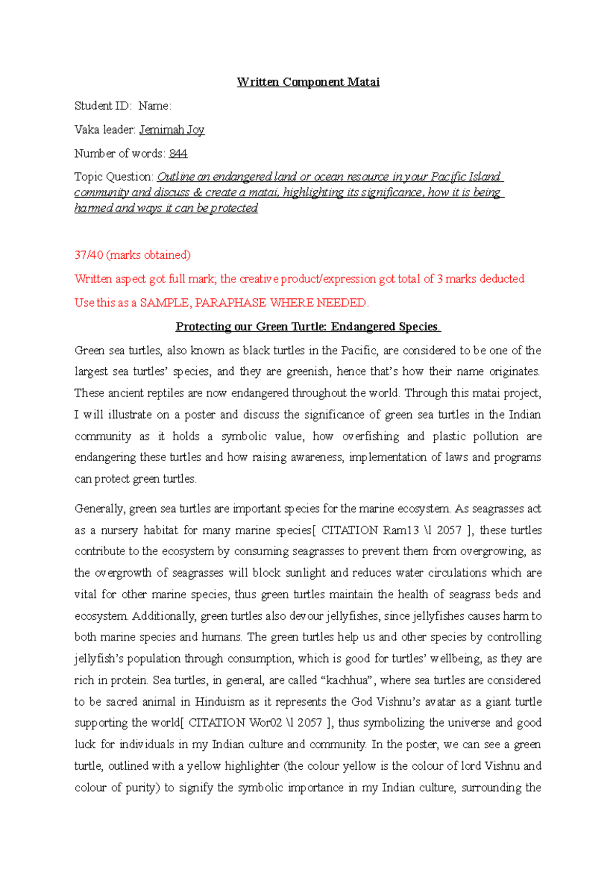 UU204 Matai - Protecting Green Sea Turtles: Endangered Resource Project ...