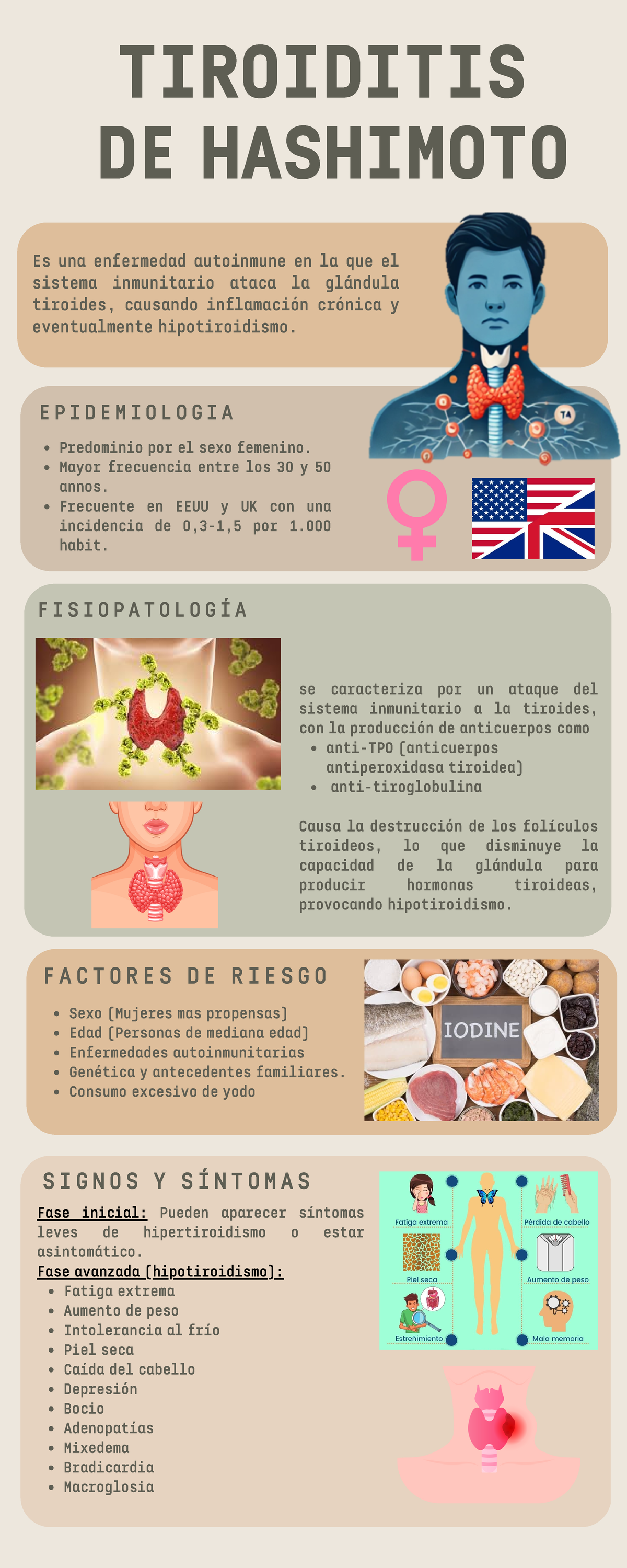 Infografía sobre Tiroiditis de Hashimoto y su Fisiopatología - Studocu