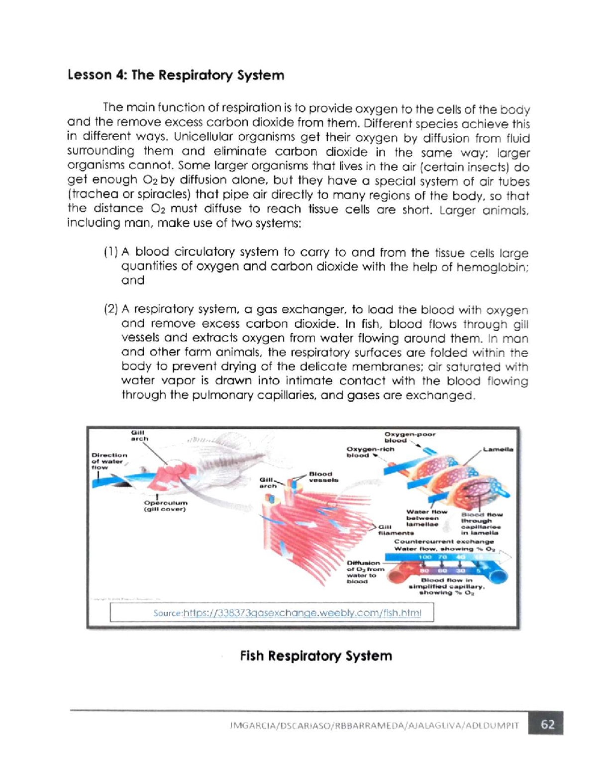 M2 L4: Understanding the Respiratory System and Gas Exchange - Studocu