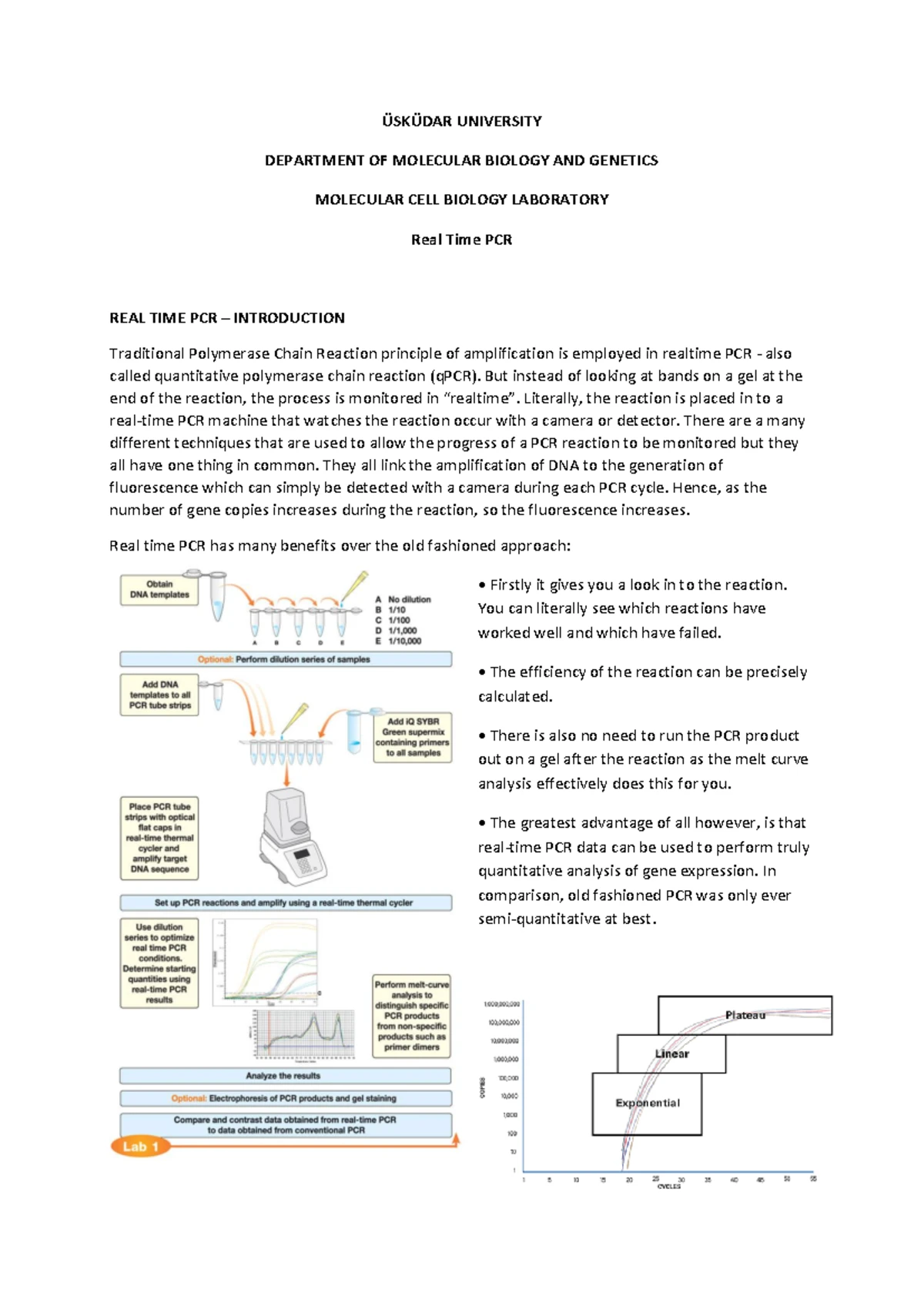 Mini Prep Isolation of Plasmid DNA - Experiment 1 & 2 Outline - Studocu