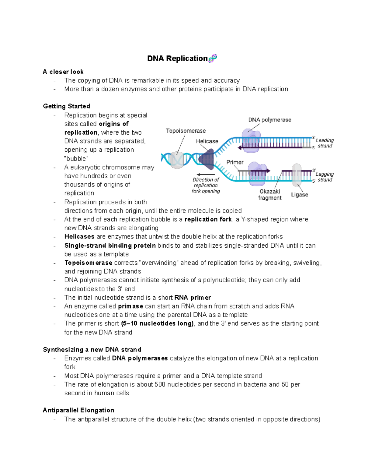 Genetics Unit 2 Notes - DNA Replication🧬 A closer look - The copying of ...