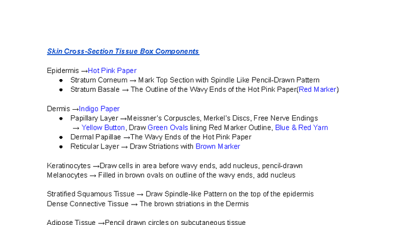 Skin Cross-Section Tissue Box Planning (BIO 101) - Studocu