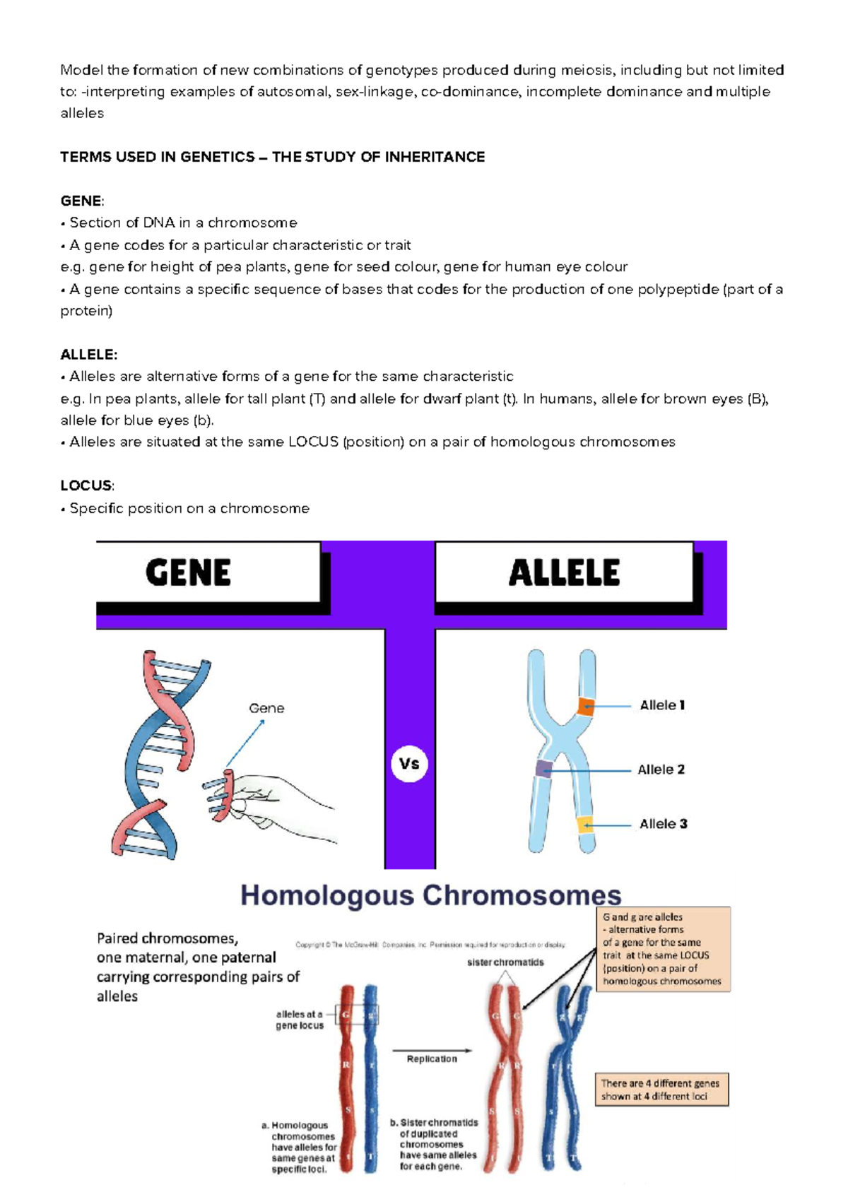 Biobiobiobio - Genetics notes - Model the formation of new combinations ...