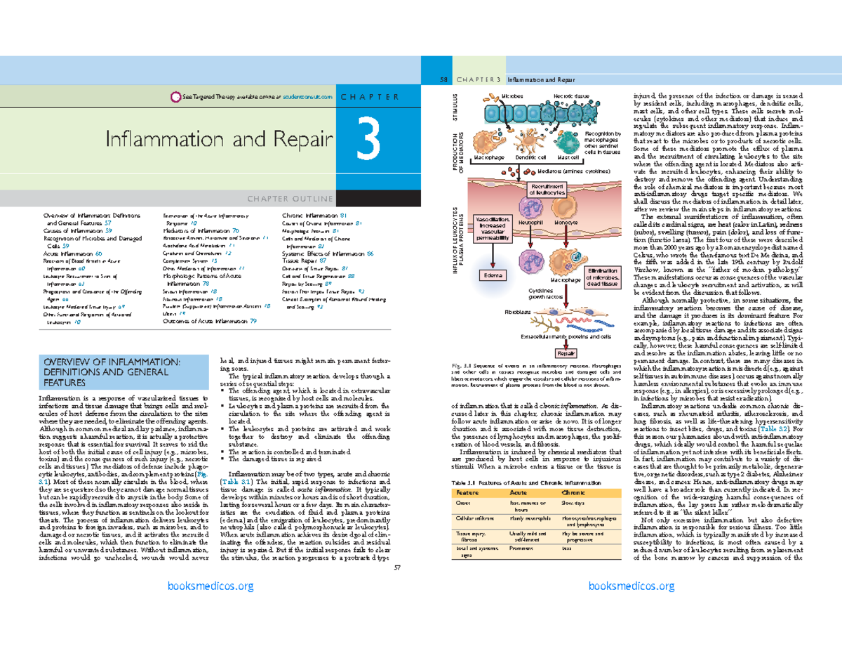Robbins Basic Pathology 10e Capítulo 3 inflamacion - ####### 57 ...