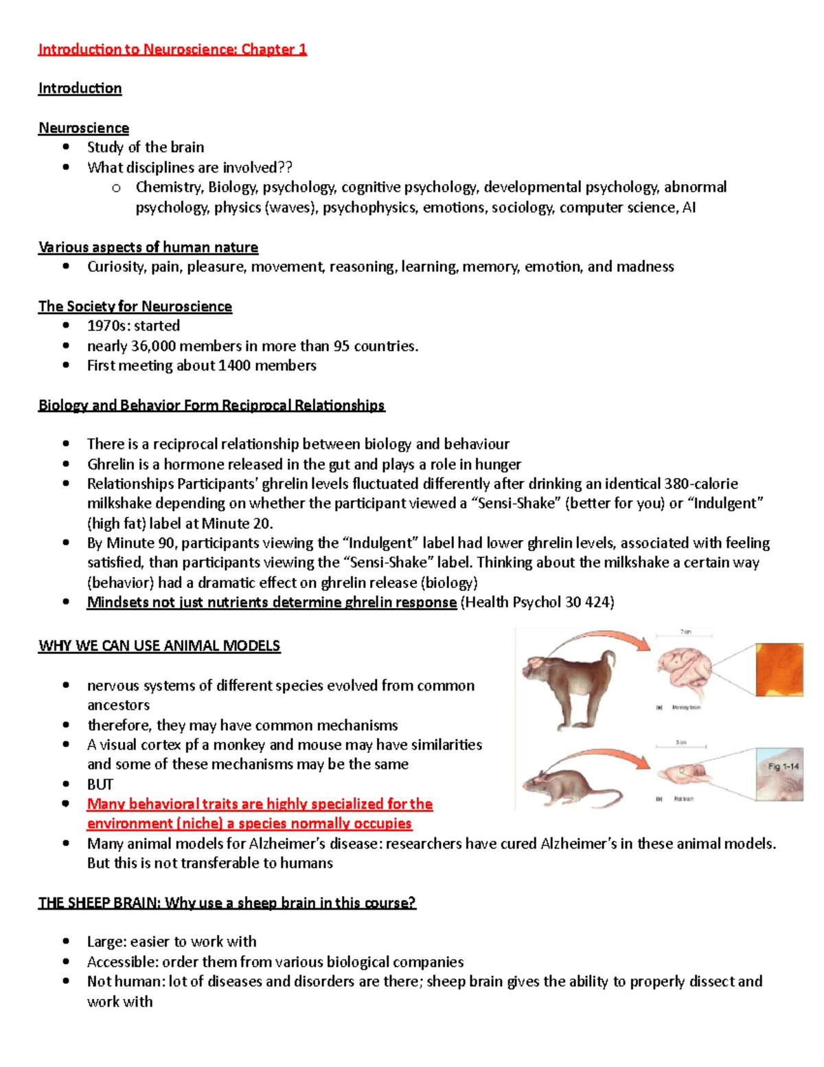 Neuroanatomy Lecture 4 Notes: Cortical Areas and Neuron Structure - Studocu