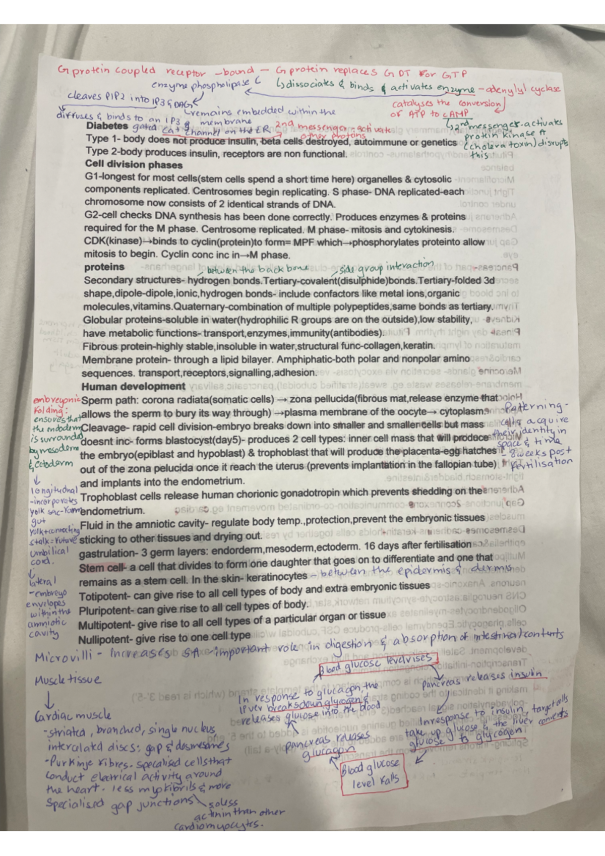 IMG 132 - Biosci mid term cheat sheet - Biology for Biomedical Science ...