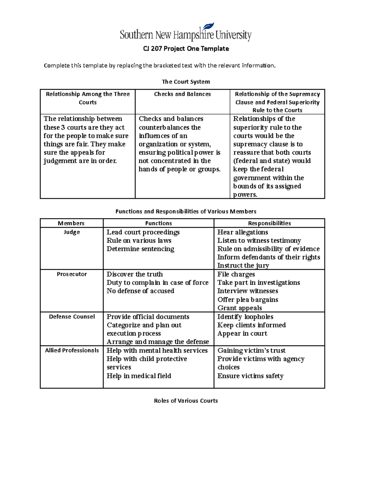 CJ 207 Project: Understanding the Court System and Its Relationships ...