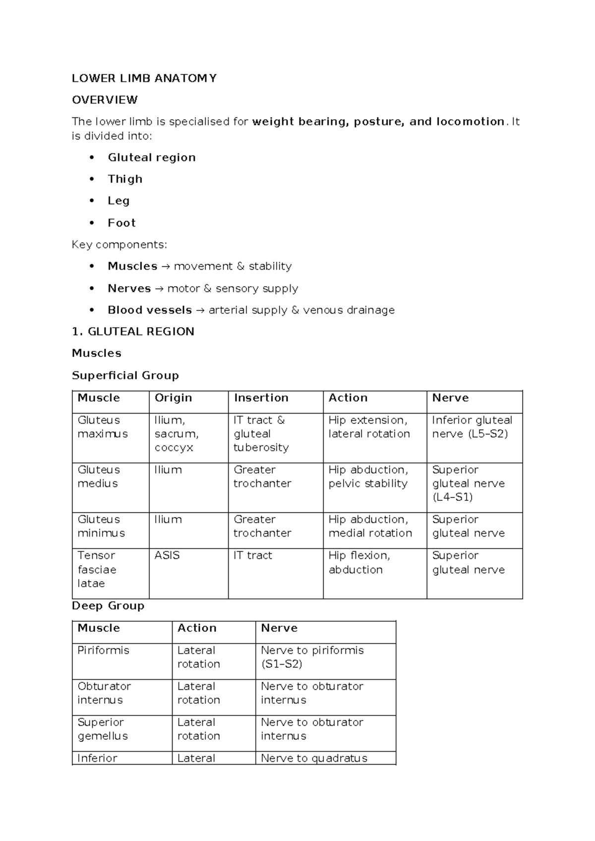Lower Limb Anatomy Overview: Key Components and Functions - Studocu