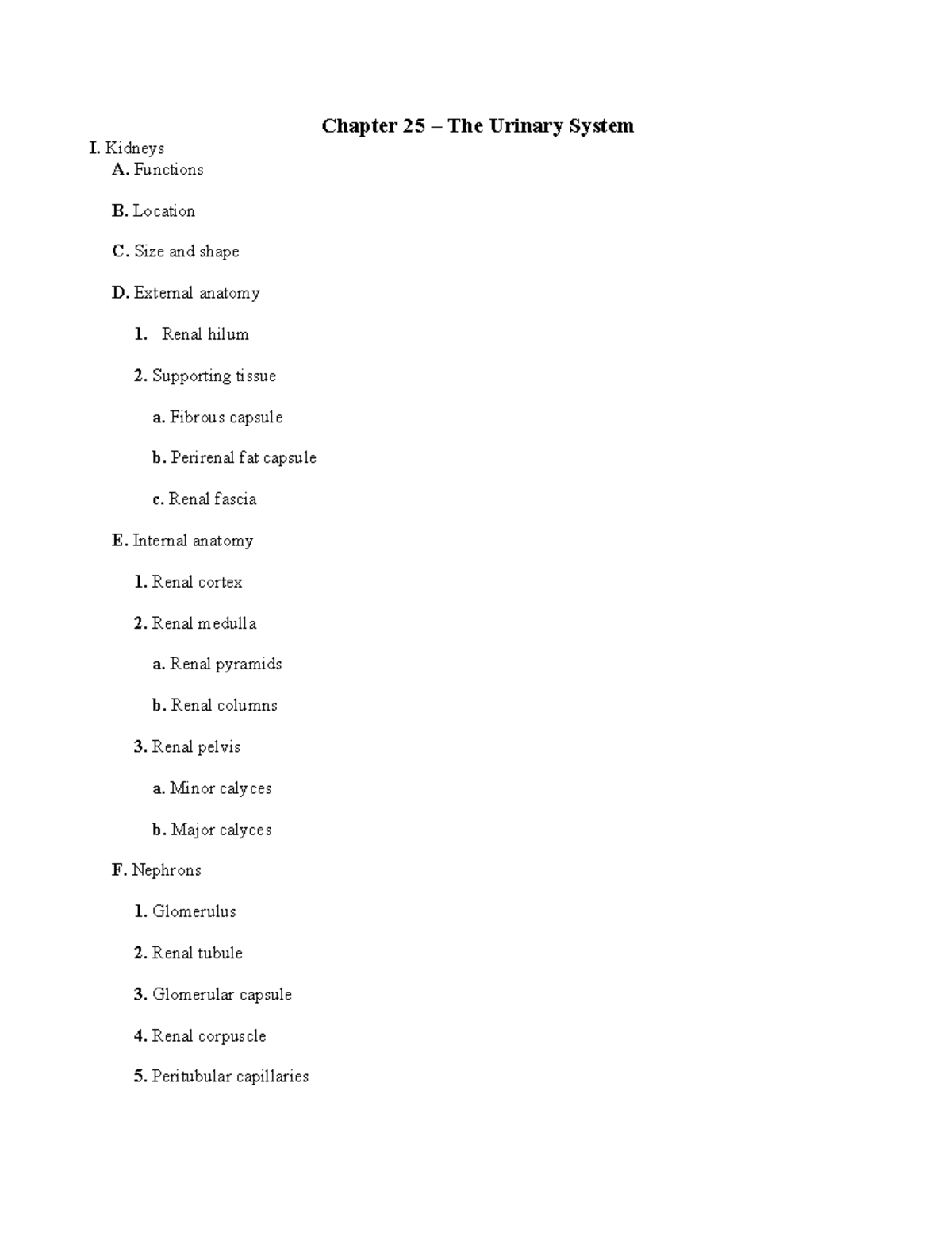 Chapter 25 - Detailed Overview of the Urinary System - Studocu