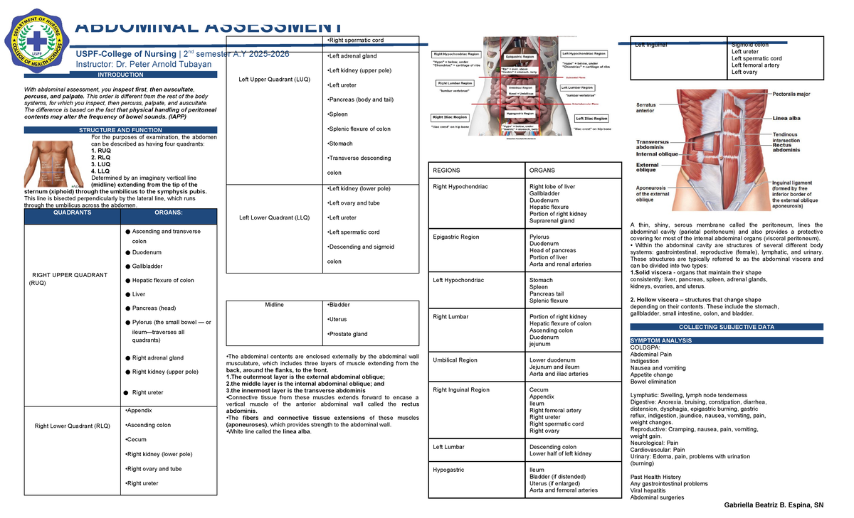 NGCM101: Health Assessment - Abdominal Assessment Notes - Studocu