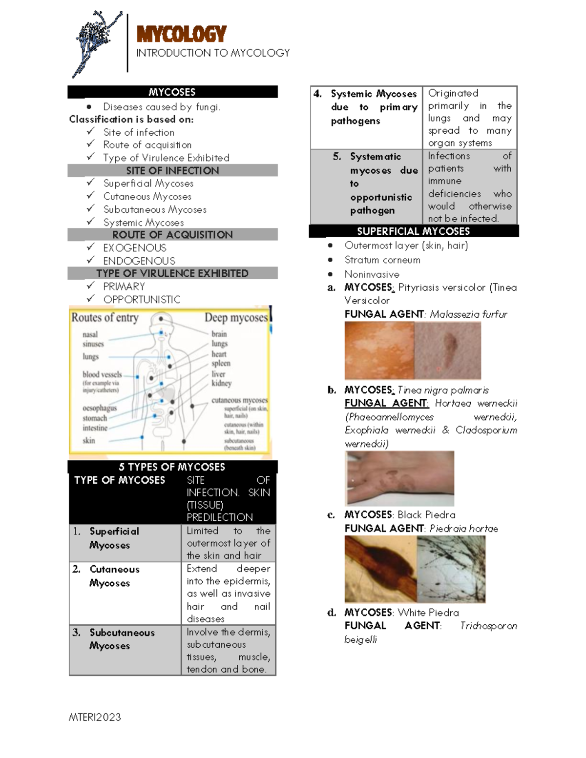 MTERI2023 Mycology: Comprehensive Lecture Notes on Mycoses - Studocu