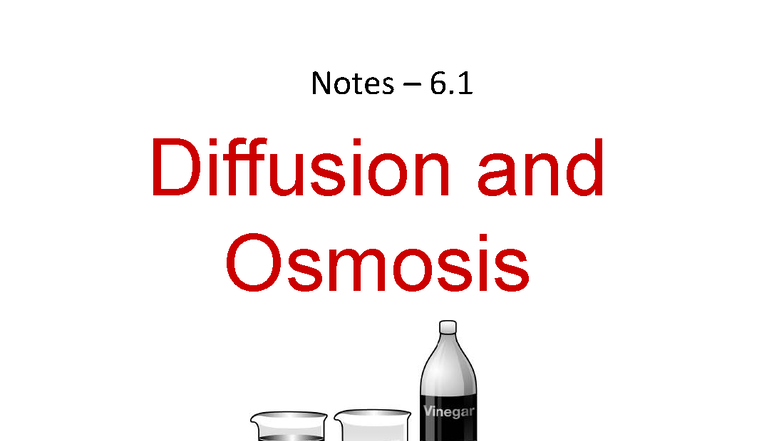 6.1 Lecture Notes: Diffusion and Osmosis in Cell Membranes - Studocu
