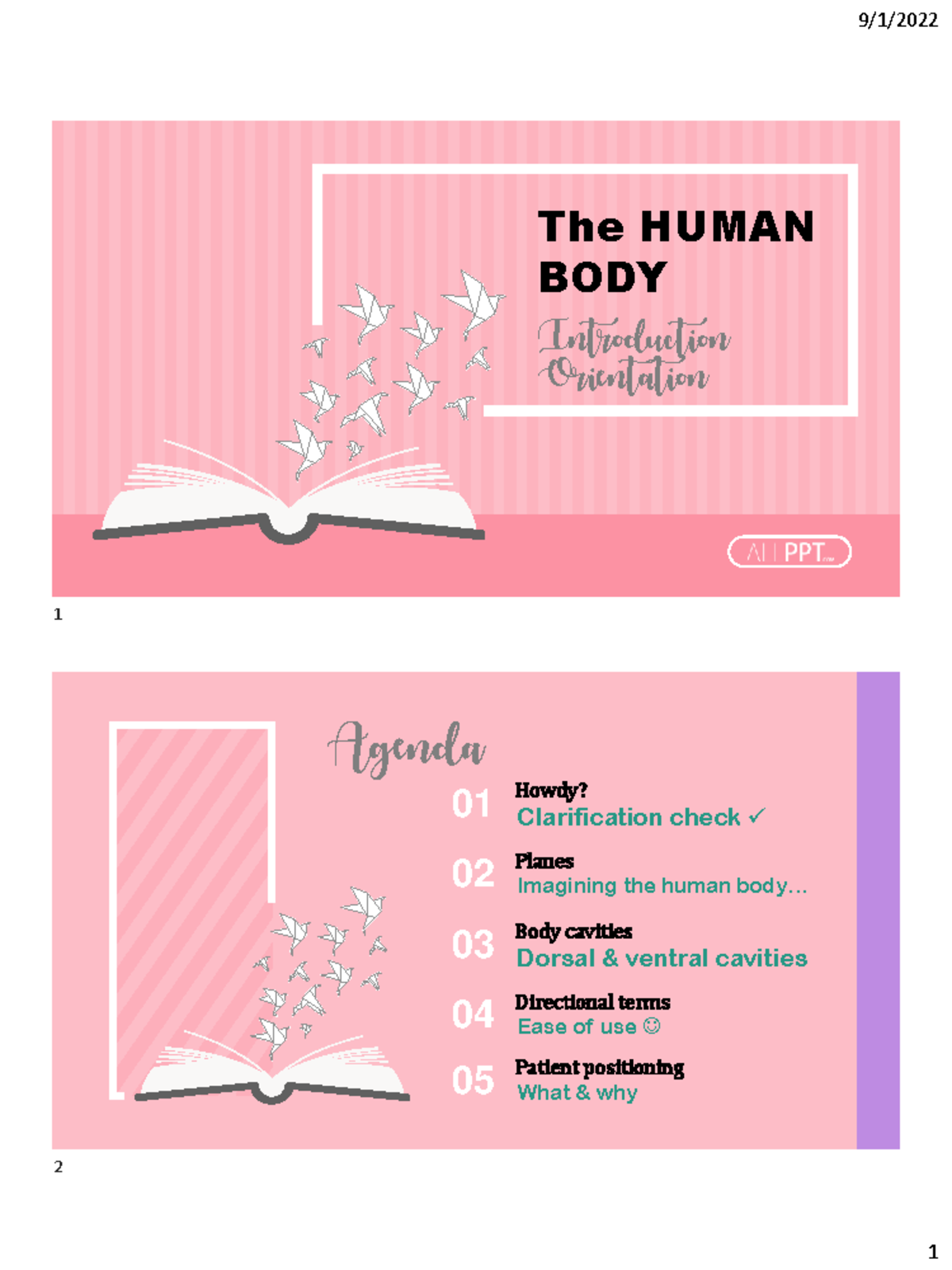 U1-2 Intro to Human Body Positioning and Anatomical Terms - Studocu