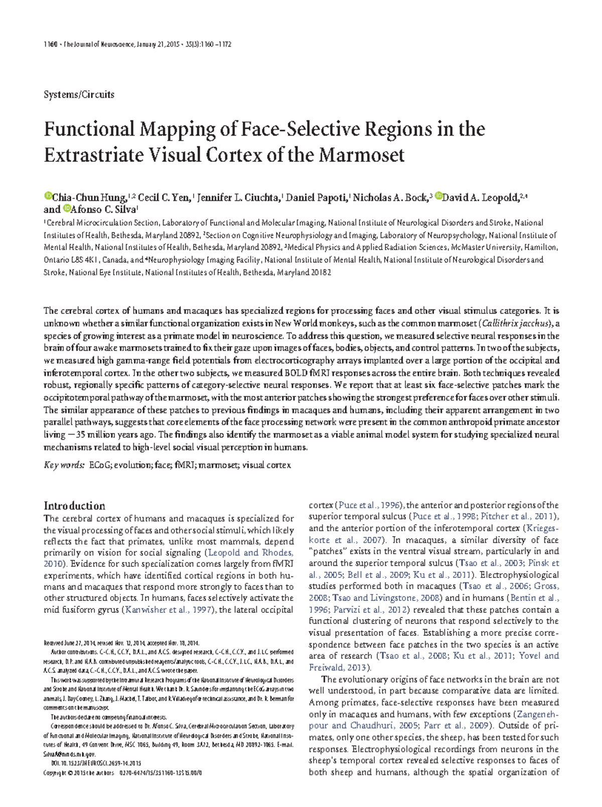 Functional Mapping of Face-Selective Regions in Marmoset Cortex - Studocu