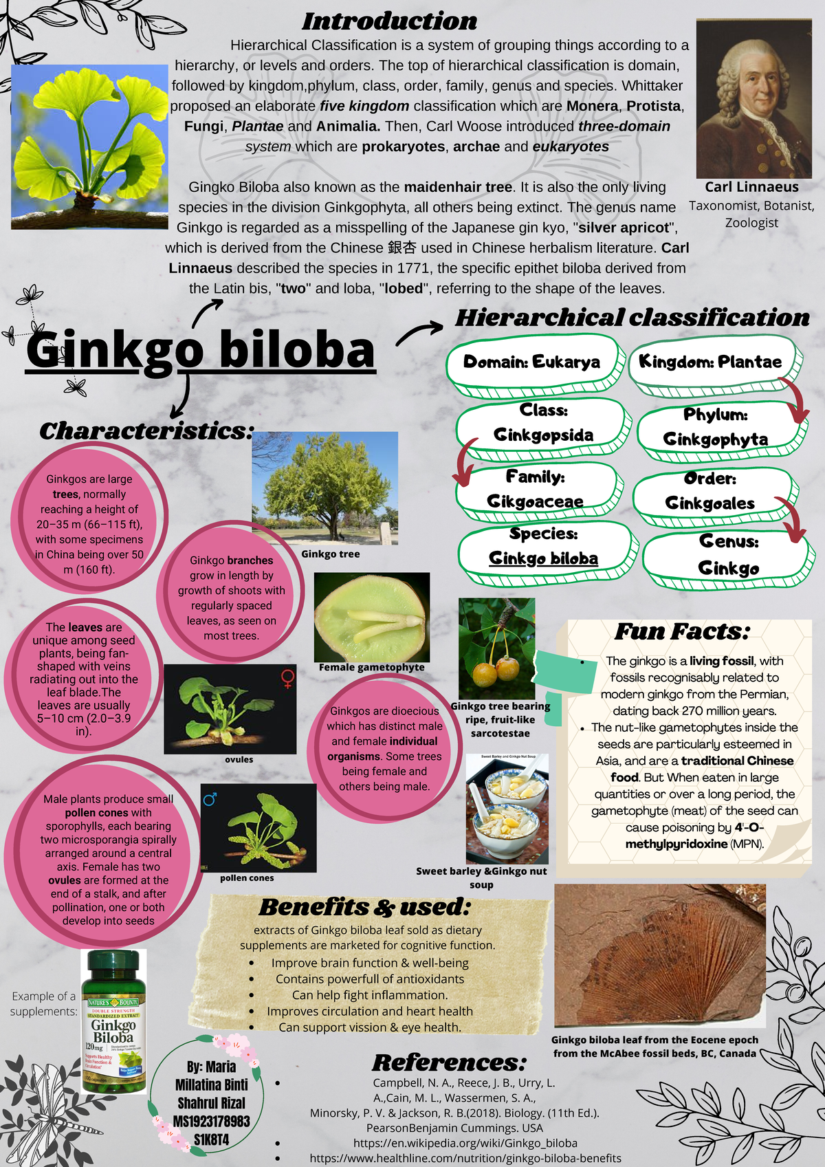Ginkgo Biloba Hierarchical Classification & Benefits (Bio 2021 Poster) -  Studocu