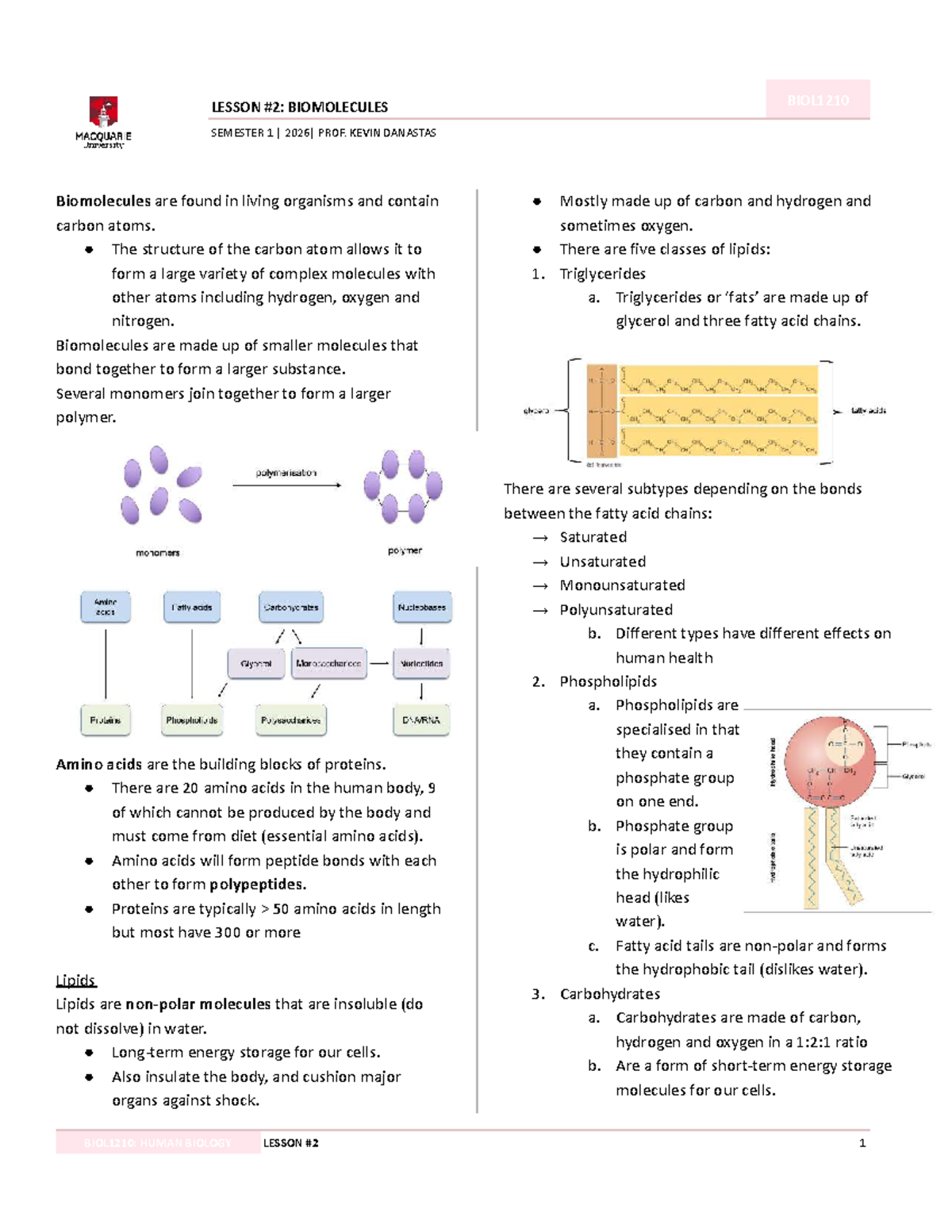 LESSON ON BIOMOLECULES BIOL1210 SEMESTER 1 NOTES - Studocu