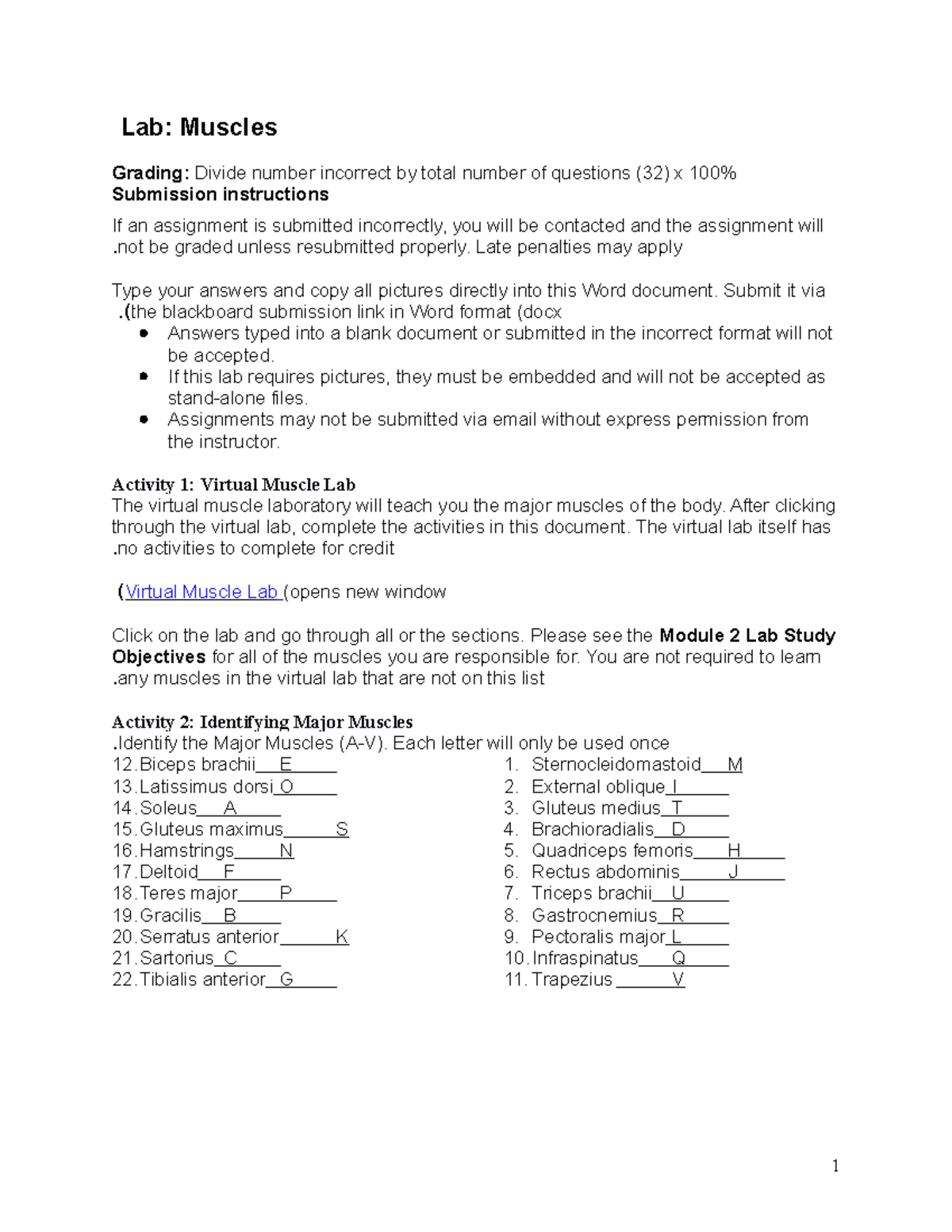 Lab: Muscles and Major Muscle Identification (Course Code: LAB 101 ...