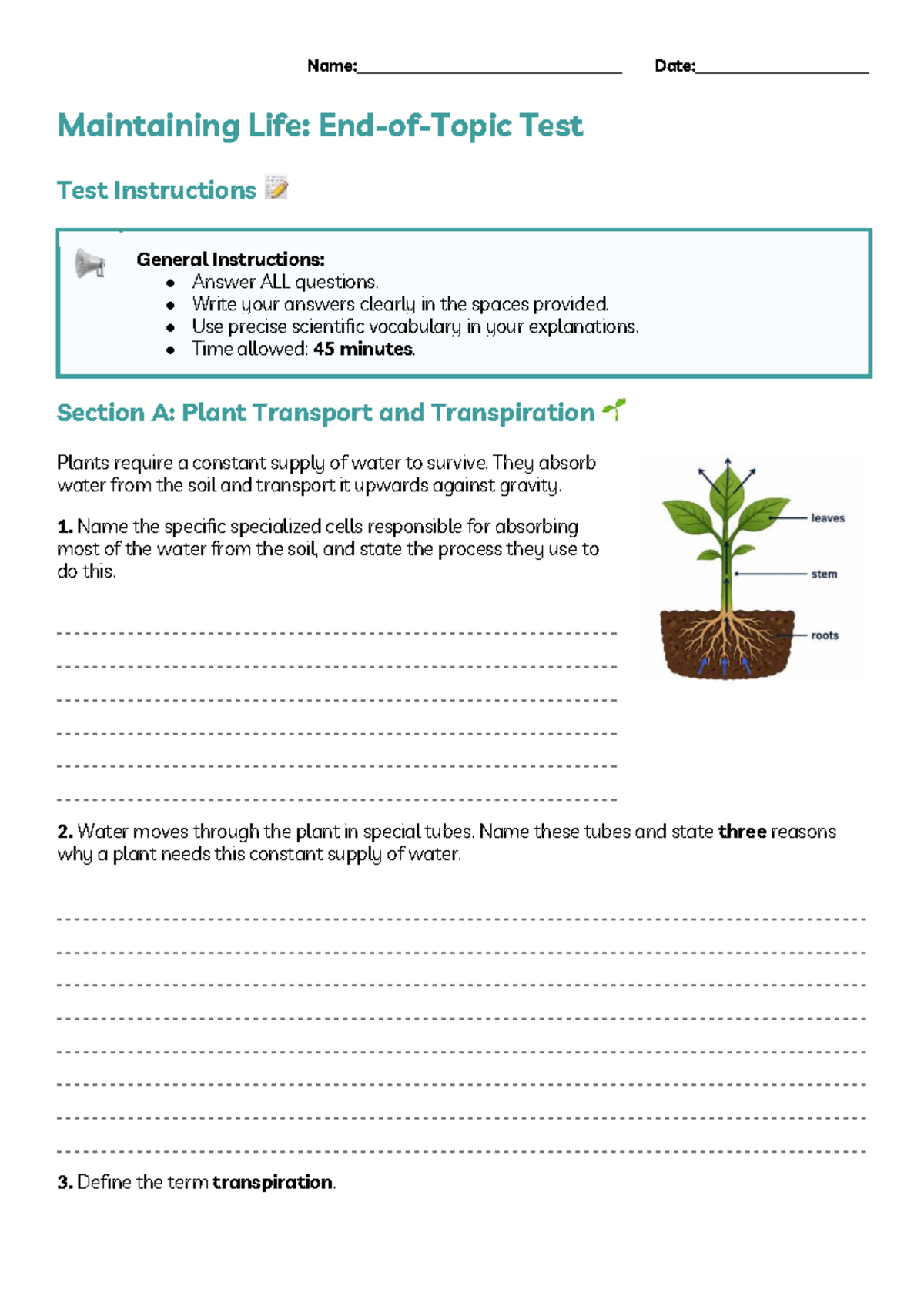 Maintaining Life: Test Questions on Plant Transport & Fetal Development ...