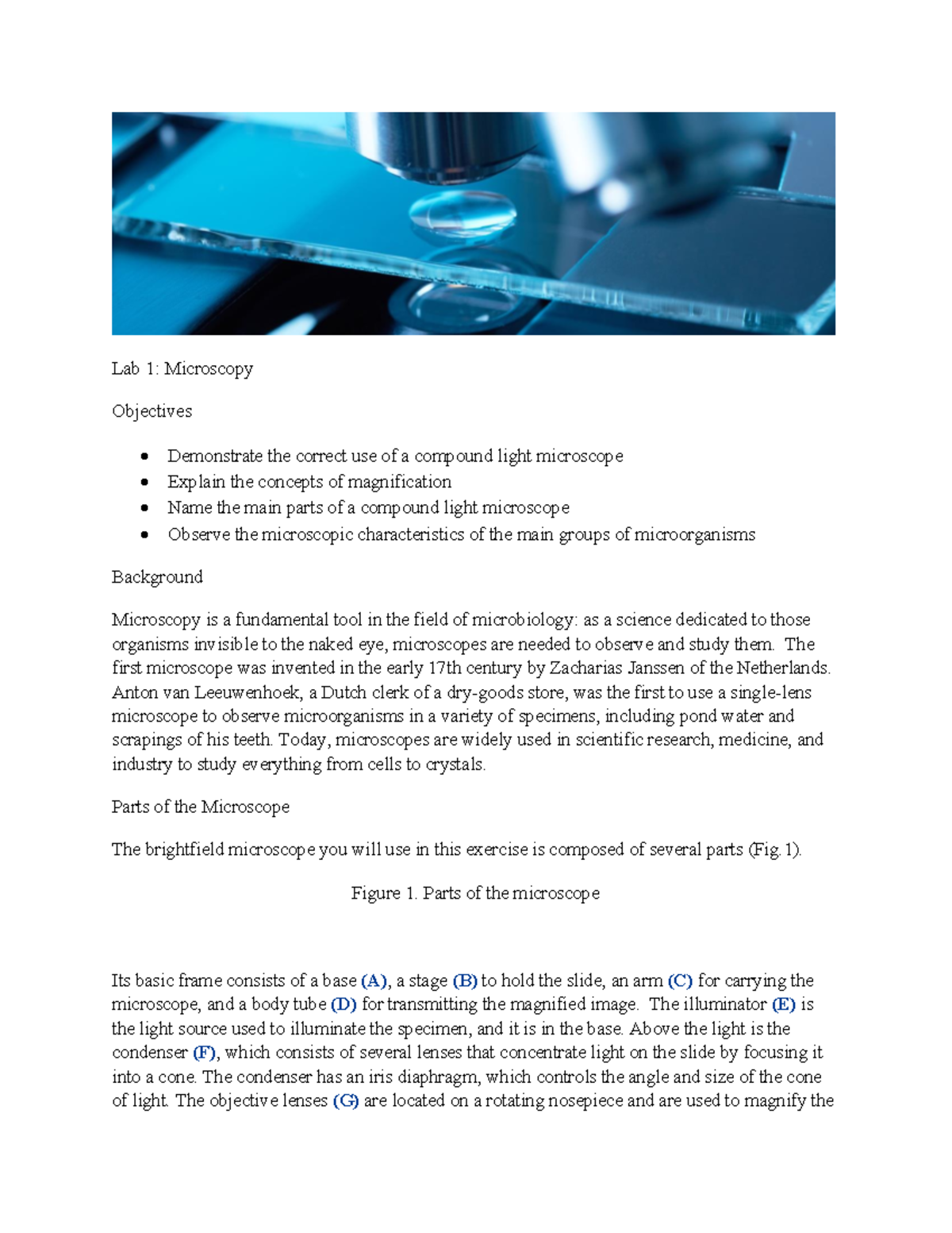 Lab 1 Microscopy-4 - slide optional - Lab 1: Microscopy Objectives ...