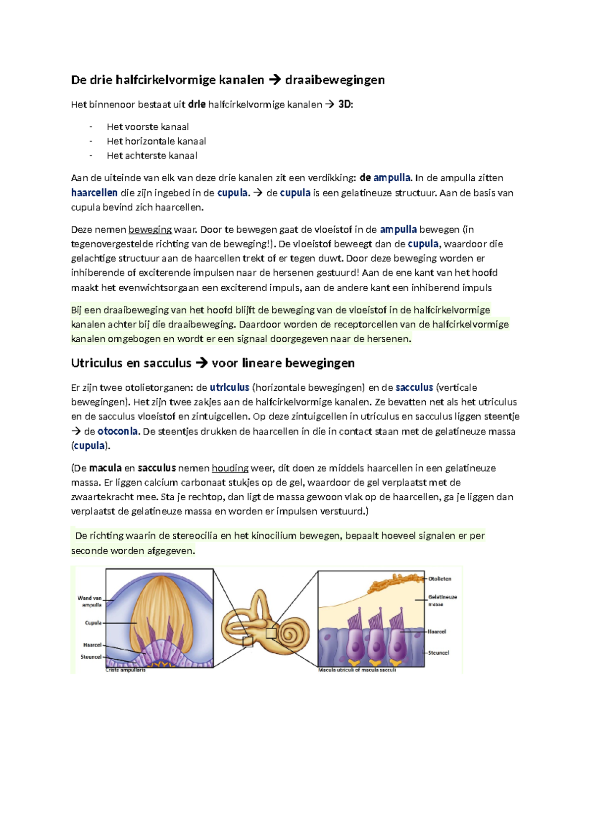 Aanpassing van het Binnenoor: Kanalen, Utriculus, Sacculus en Gehoor ...
