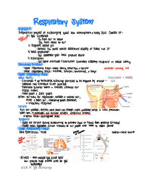 A&P 1 Exam 1 Study Guide - Subject of Anatomy and Physiology: Anatomy ...
