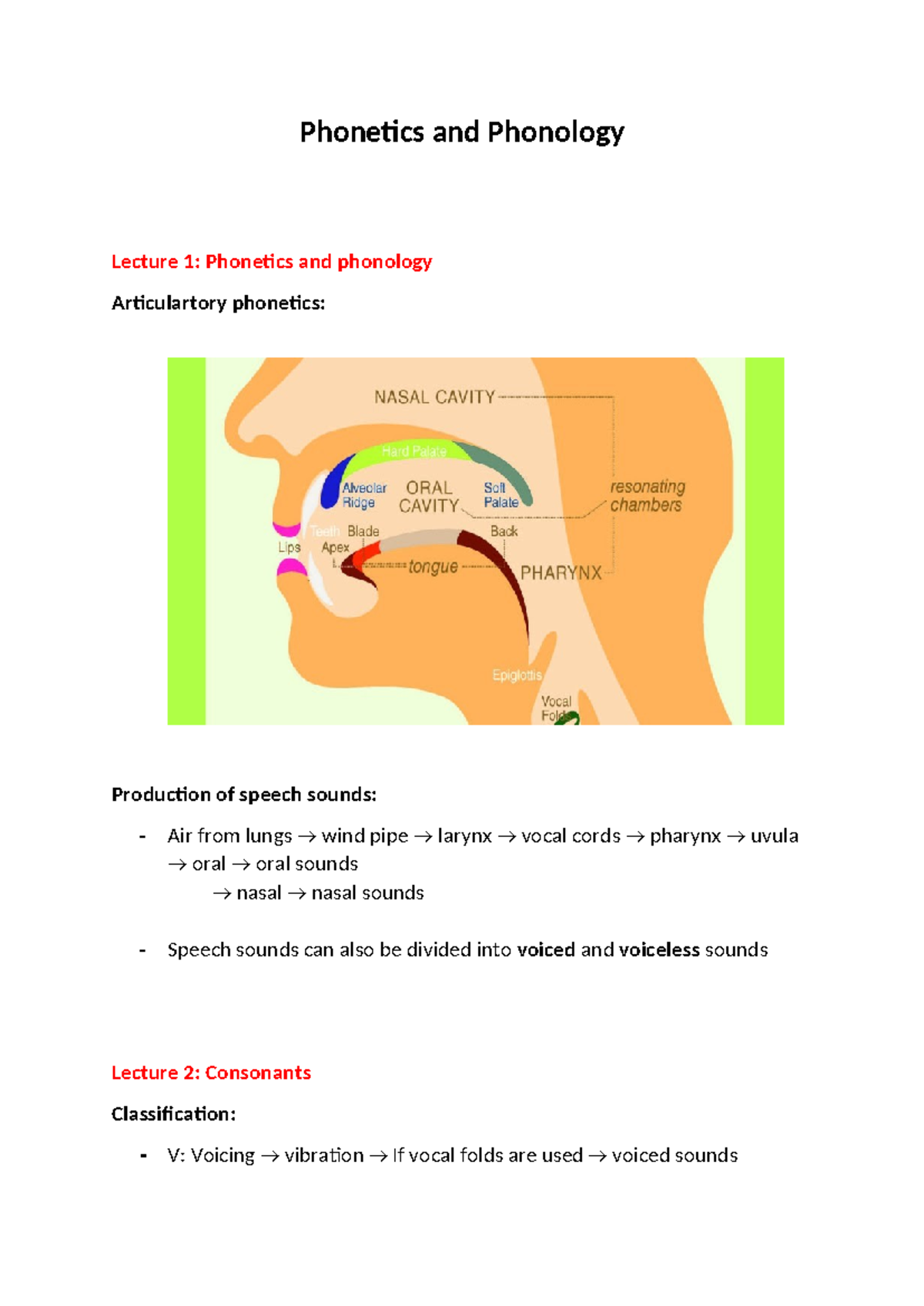 Phonetics and Phonology (PHON 101): Comprehensive Lecture Notes - Studocu