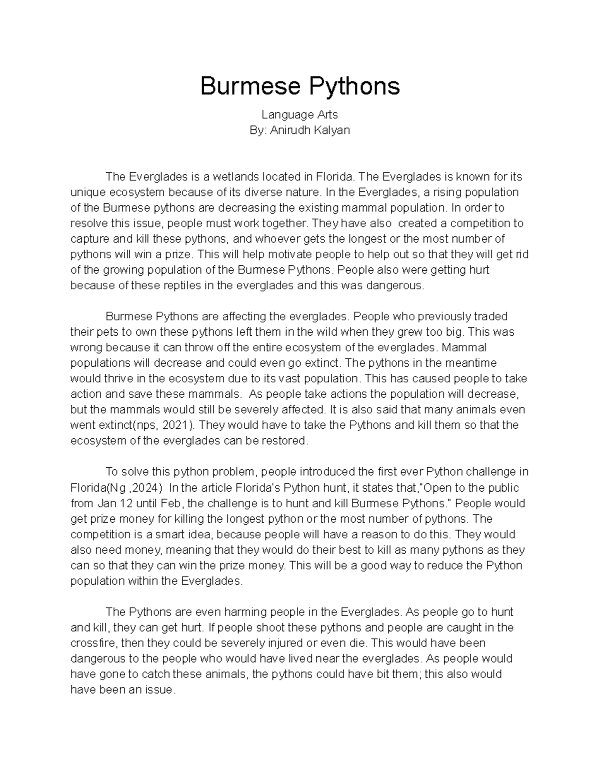 Burmese Python Informative Essay: Impact on the Everglades Ecosystem ...